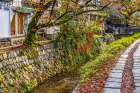 Colorful foliage, Philosophers Walk, Kyoto, Japan. Walk passes by famous temples. Art Print